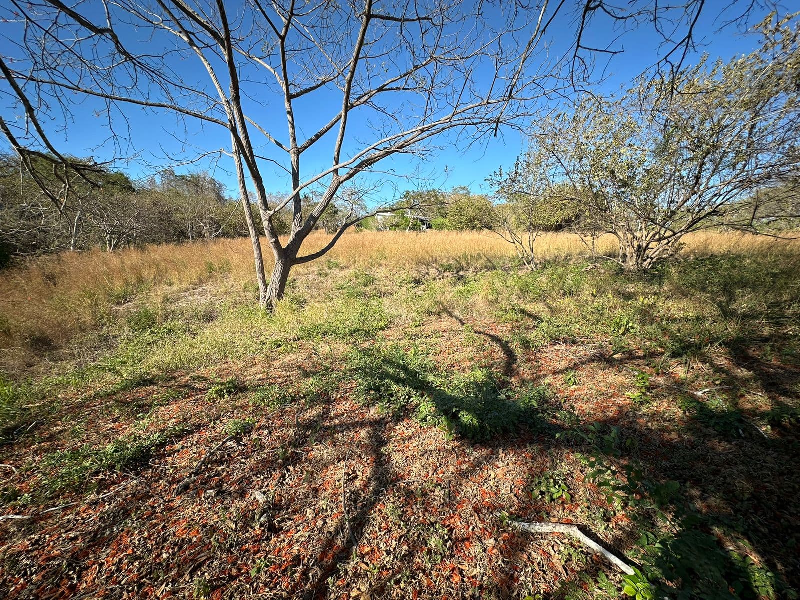 BAJAMAR LOT FOR SALE, photo 4