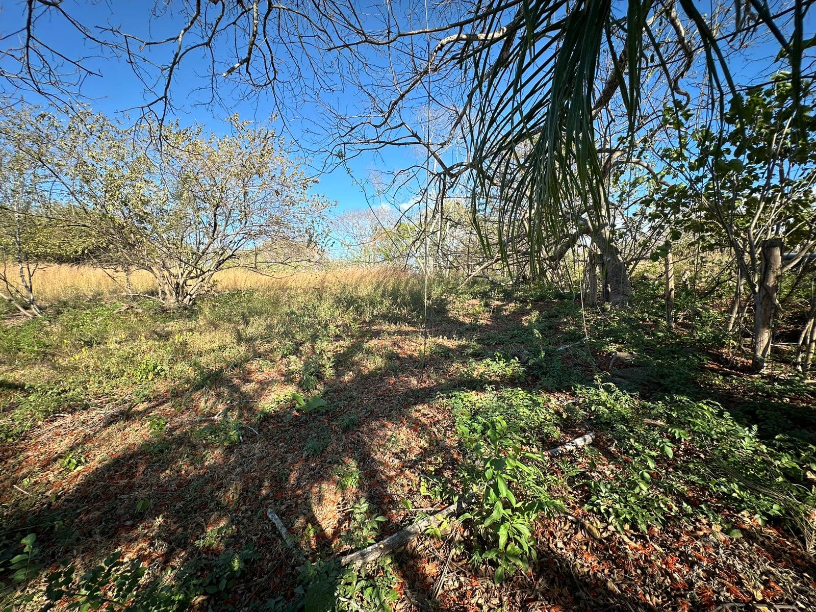 BAJAMAR LOT FOR SALE, photo 6