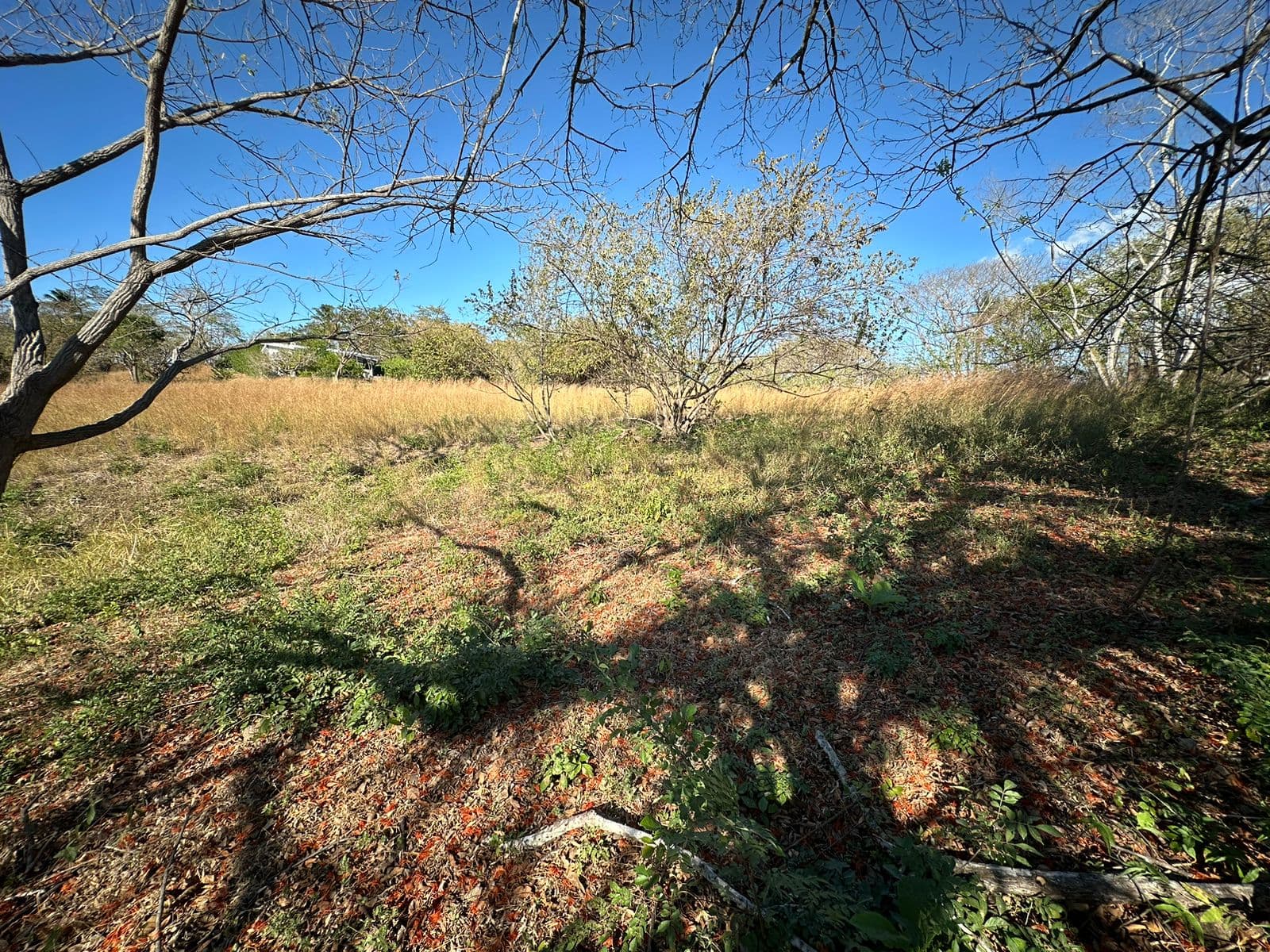 BAJAMAR LOT FOR SALE, photo 7