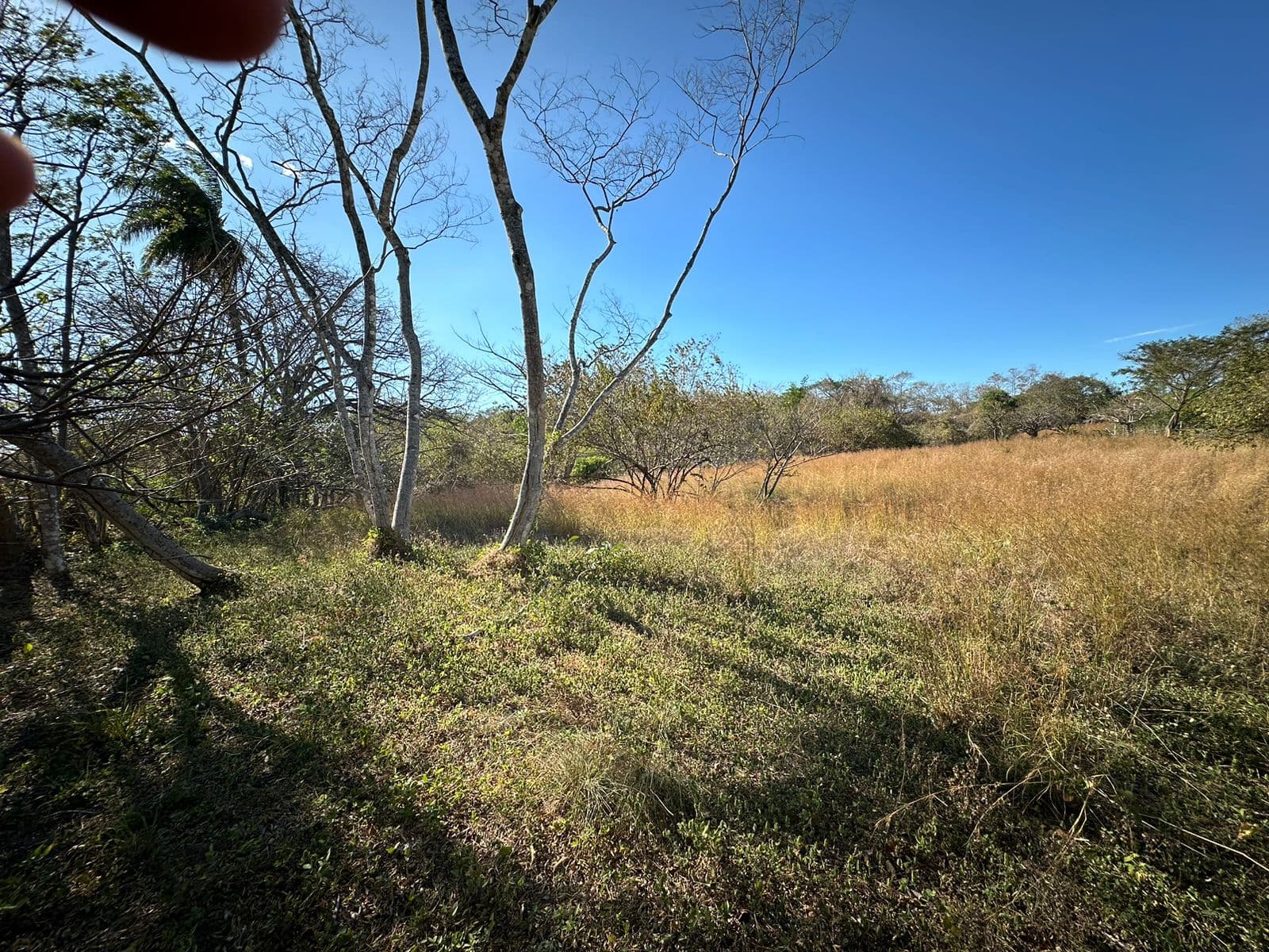 BAJAMAR LOT FOR SALE, photo 9