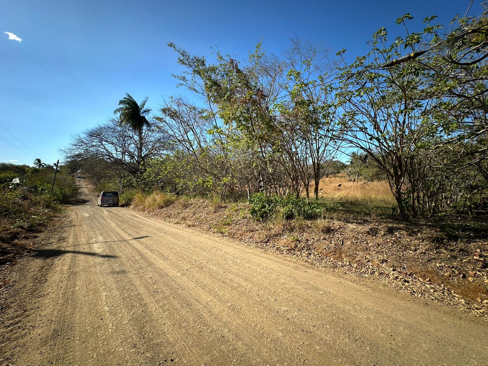 BAJAMAR LOT FOR SALE, photo 12