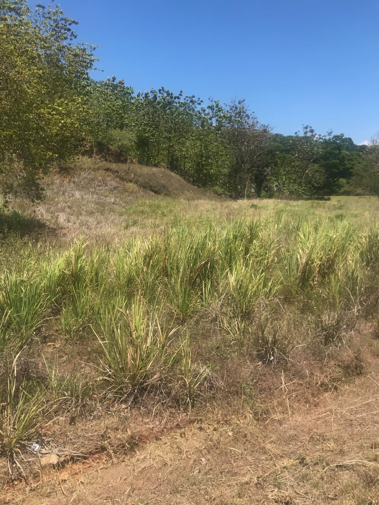 Highway Frontage Commercial, photo 4