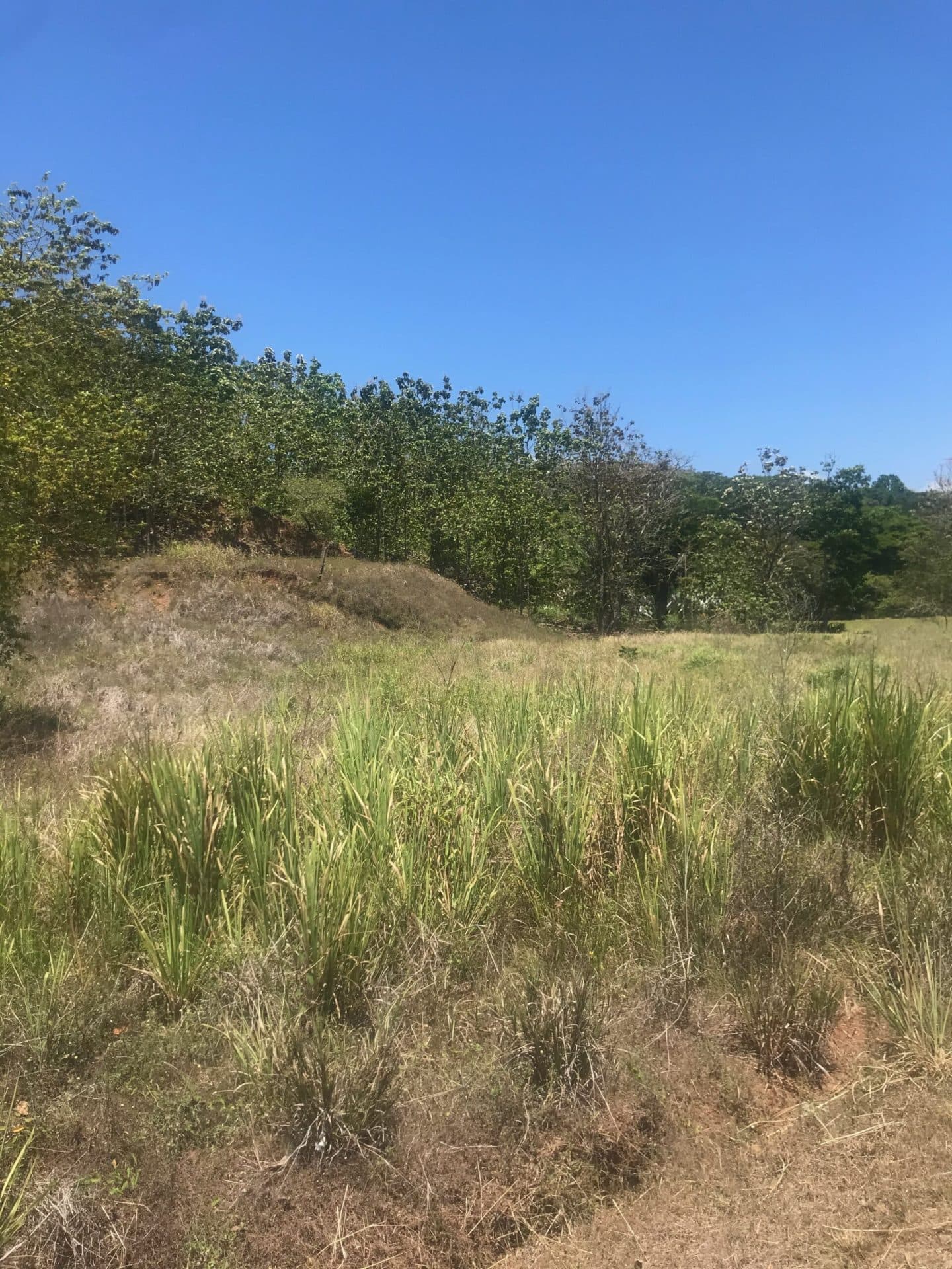 Highway Frontage Commercial, photo 6