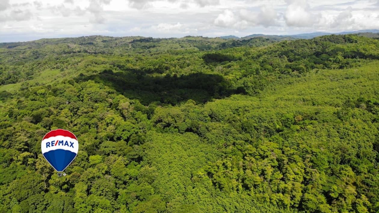 Exotic hardwood farms | Teak plantation | Land bank opportunity, photo 2
