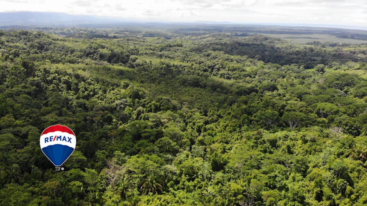 Exotic hardwood farms | Teak plantation | Land bank opportunity, photo 11