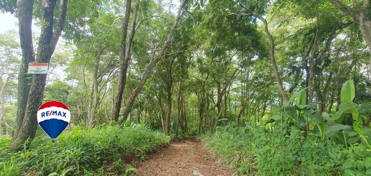 Exotic hardwood farms | Teak plantation | Land bank opportunity, photo 16