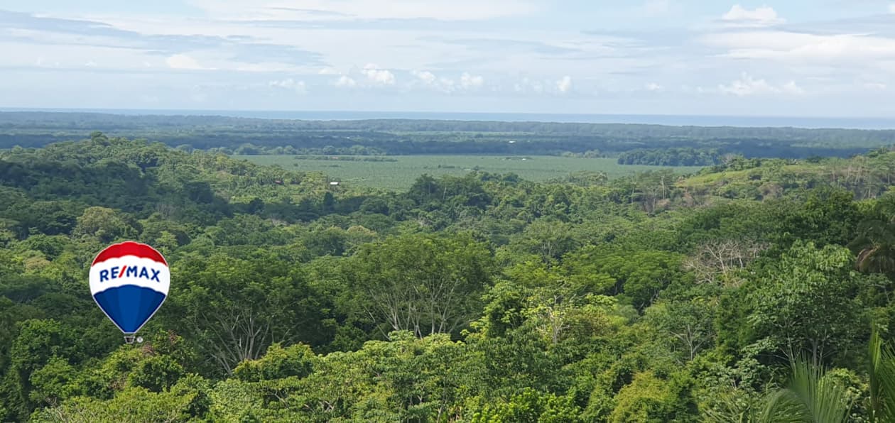 Exotic hardwood farms | Teak plantation | Land bank opportunity, photo 19