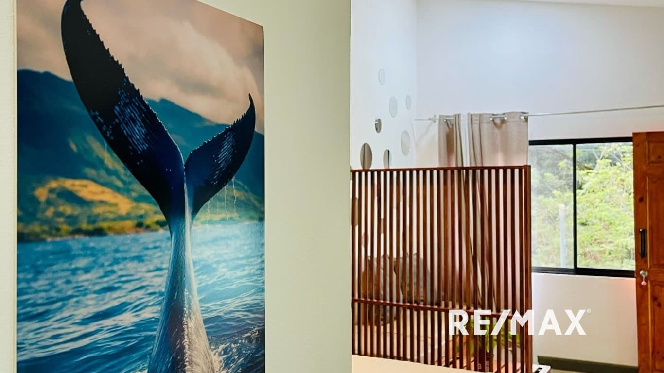 Modern & Jungle | One Villa and 3 Studios with Private Pool in Jaco Beach, photo 25