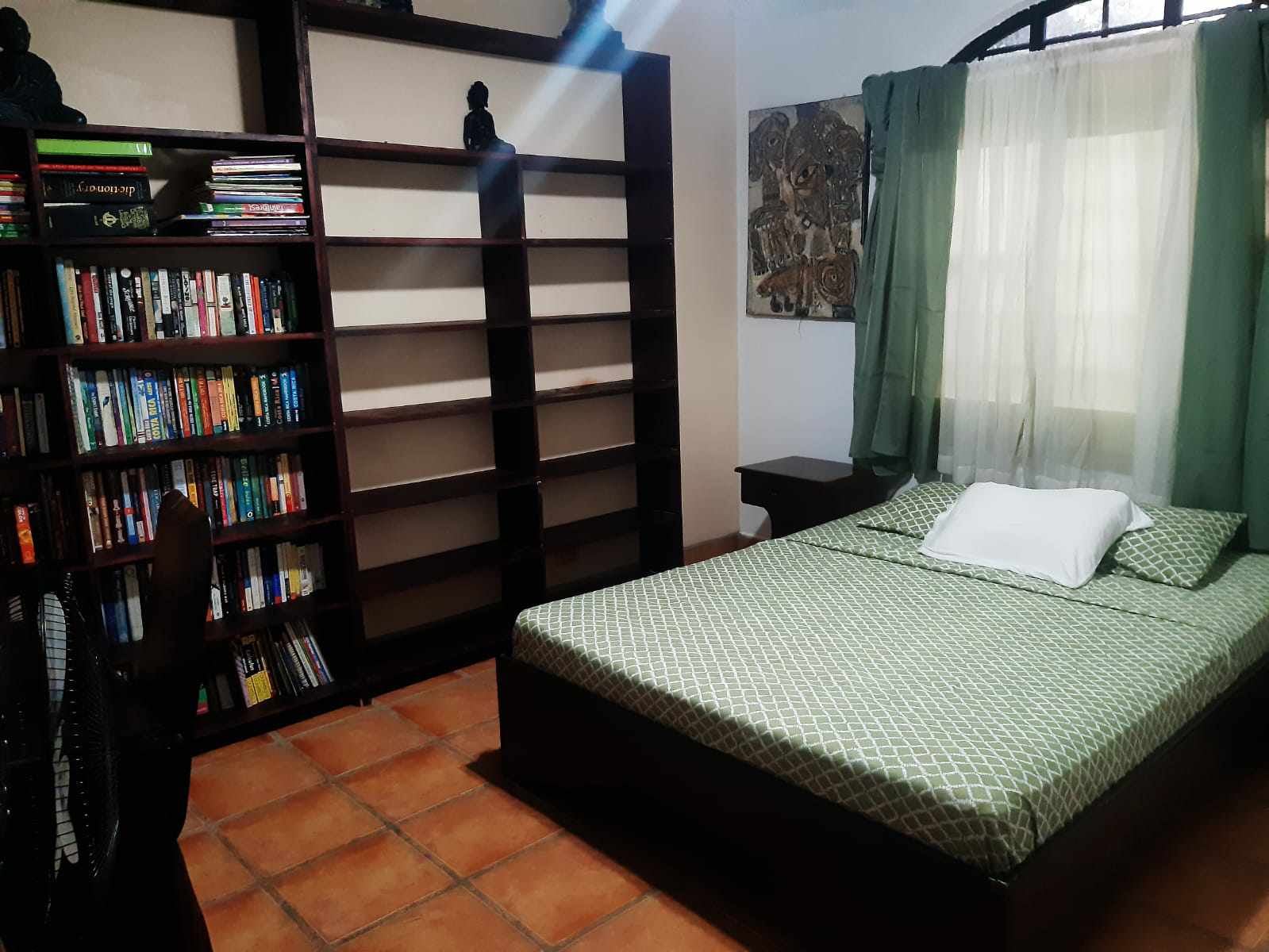 Home #35 Jardines del Pacifico | Garage | Backyard | Top Deck, photo 4
