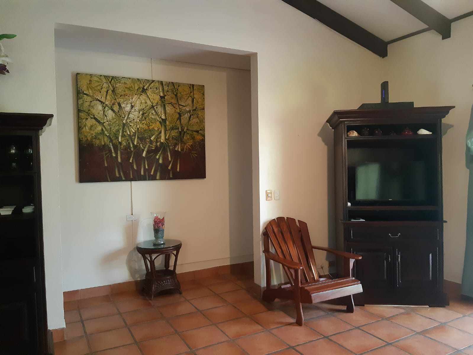 Home #35 Jardines del Pacifico | Garage | Backyard | Top Deck, photo 7