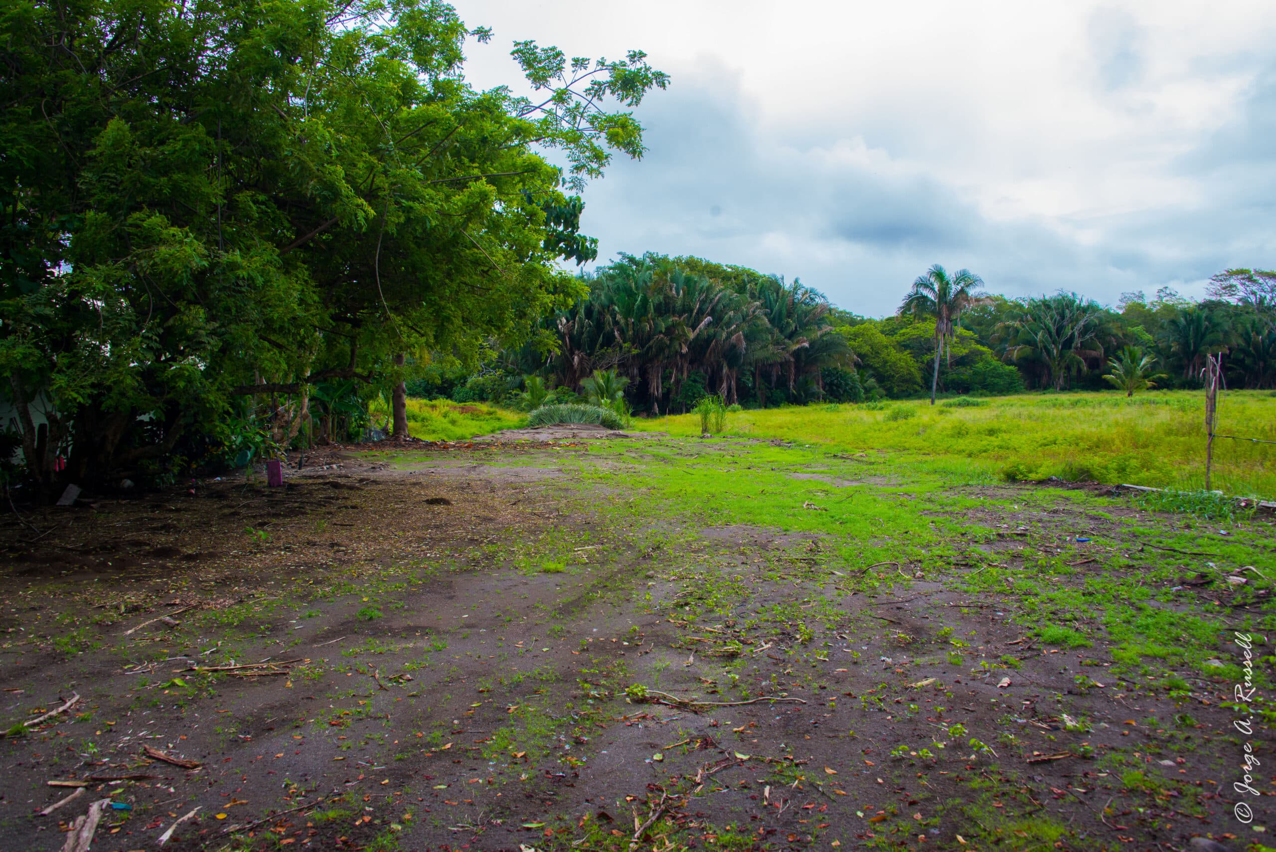 Unique Fully Titled Beachfront Lot Hermosa, photo 17