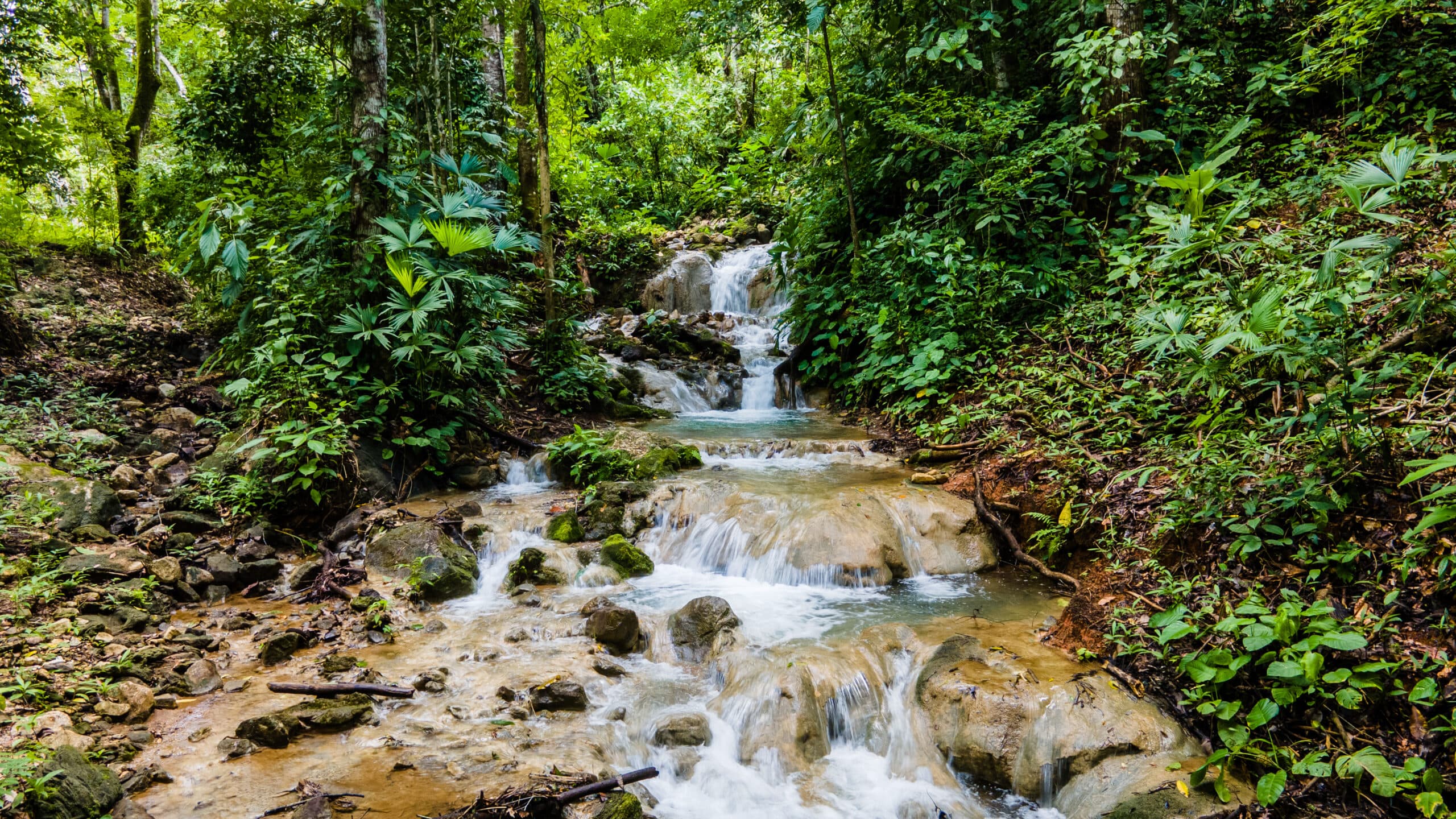 Enchanting Riverside Lot in Playa Hermosa with Waterfalls and Abundant Wildlife, photo 11