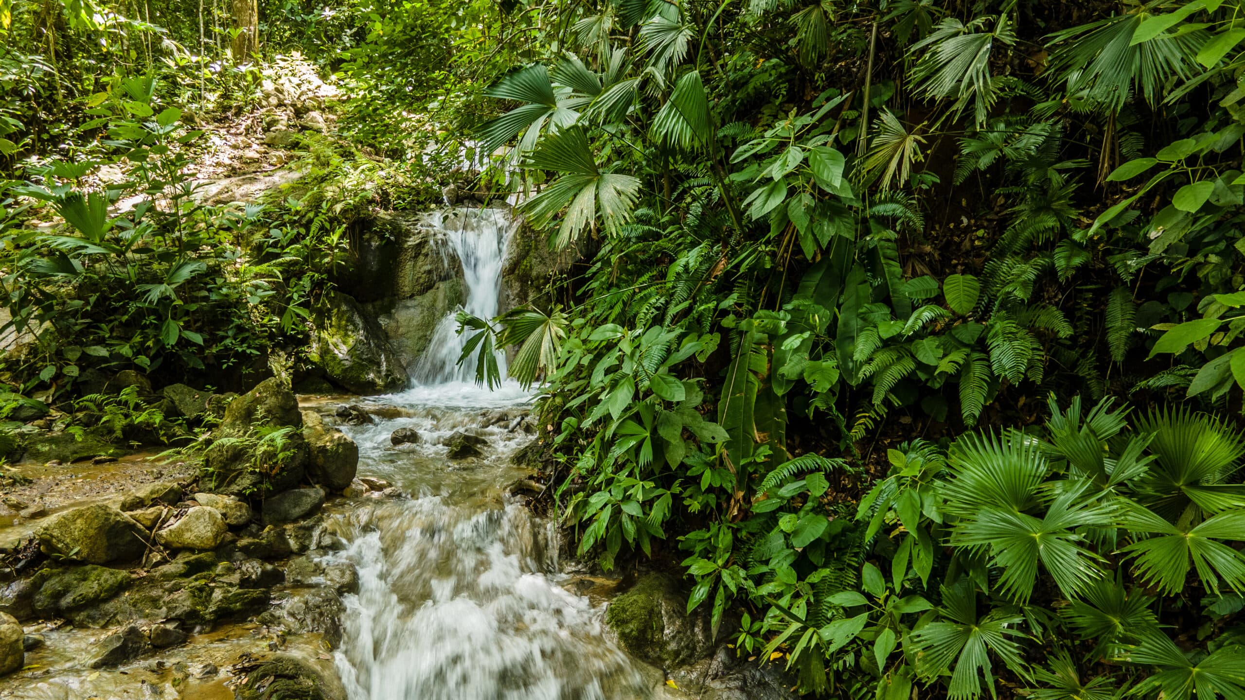 Enchanting Riverside Lot in Playa Hermosa with Waterfalls and Abundant Wildlife, photo 10