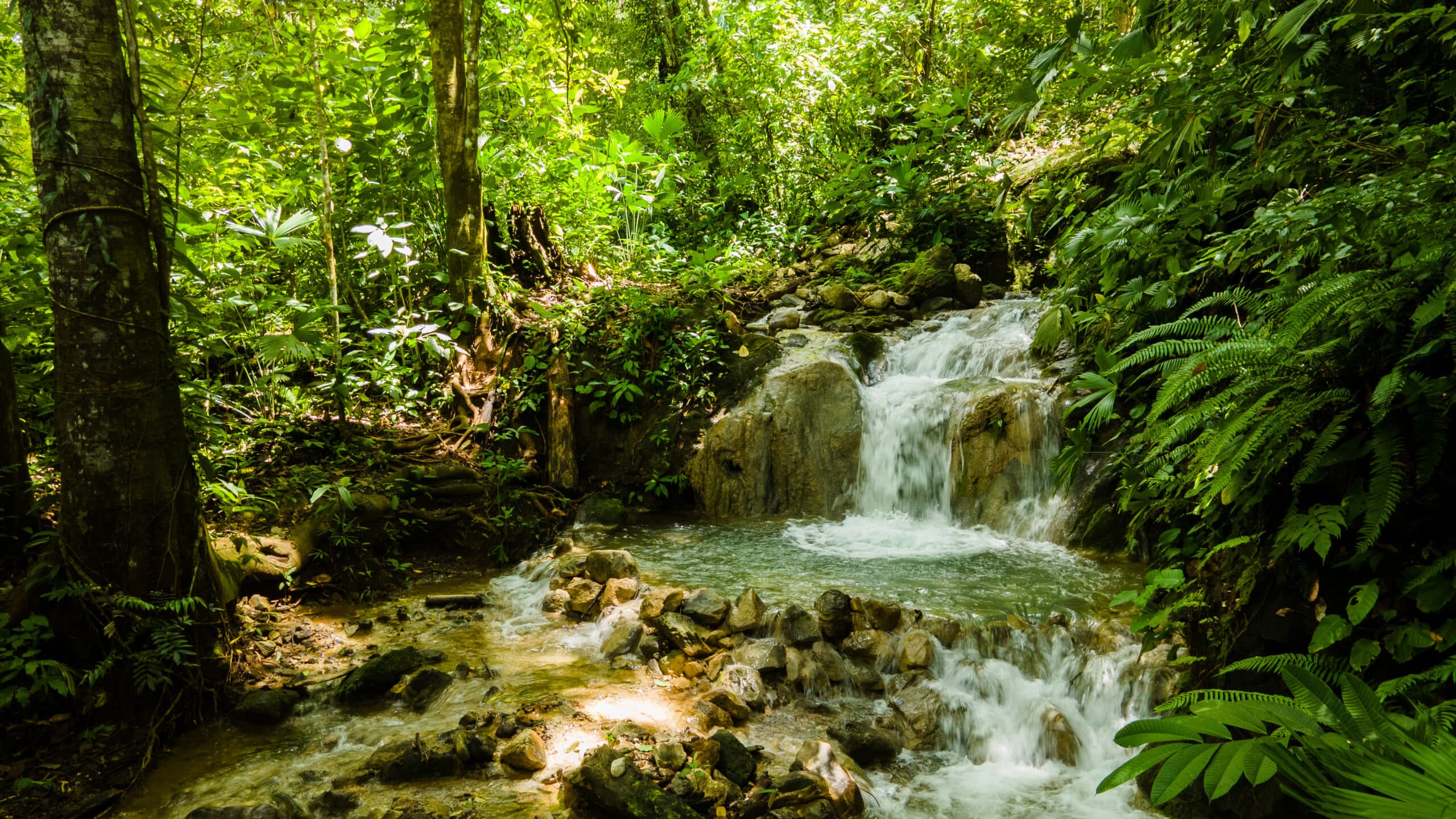Enchanting Riverside Lot in Playa Hermosa with Waterfalls and Abundant Wildlife, photo 9