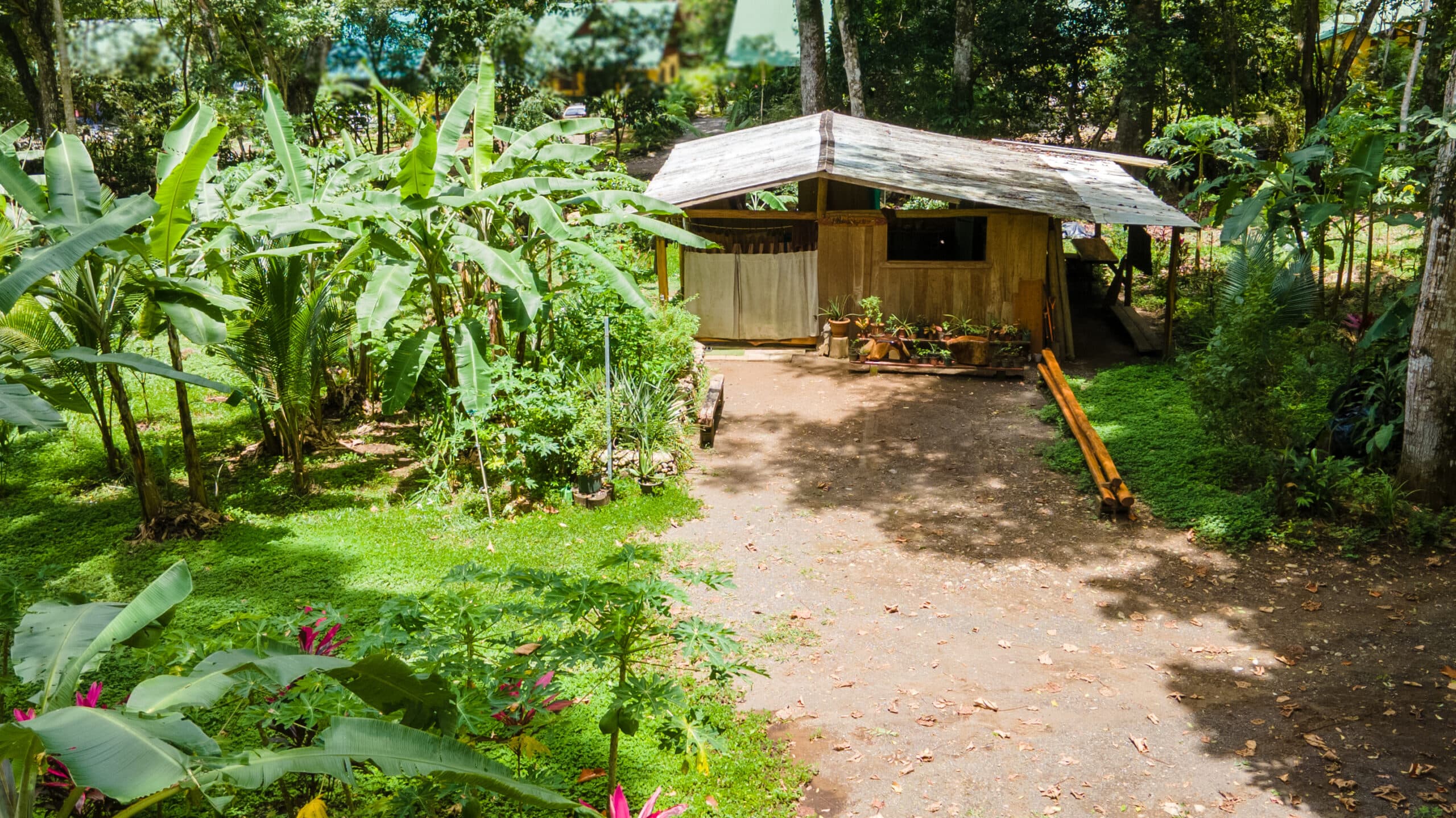 Enchanting Riverside Lot in Playa Hermosa with Waterfalls and Abundant Wildlife, photo 8
