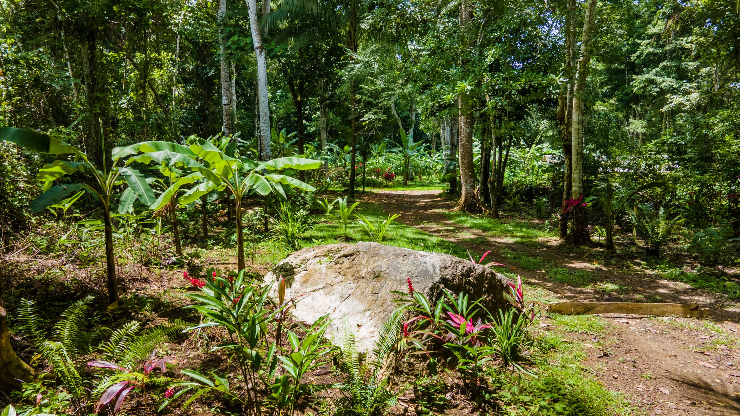 Enchanting Riverside Lot in Playa Hermosa with Waterfalls and Abundant Wildlife, photo 7