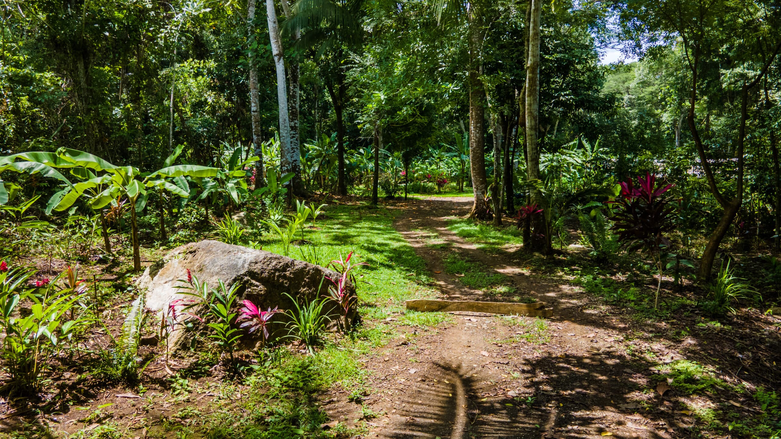 Enchanting Riverside Lot in Playa Hermosa with Waterfalls and Abundant Wildlife, photo 6
