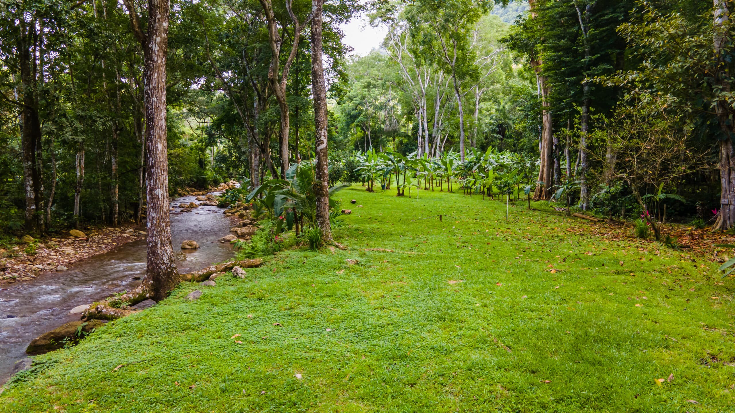 Enchanting Riverside Lot in Playa Hermosa with Waterfalls and Abundant Wildlife, photo 22