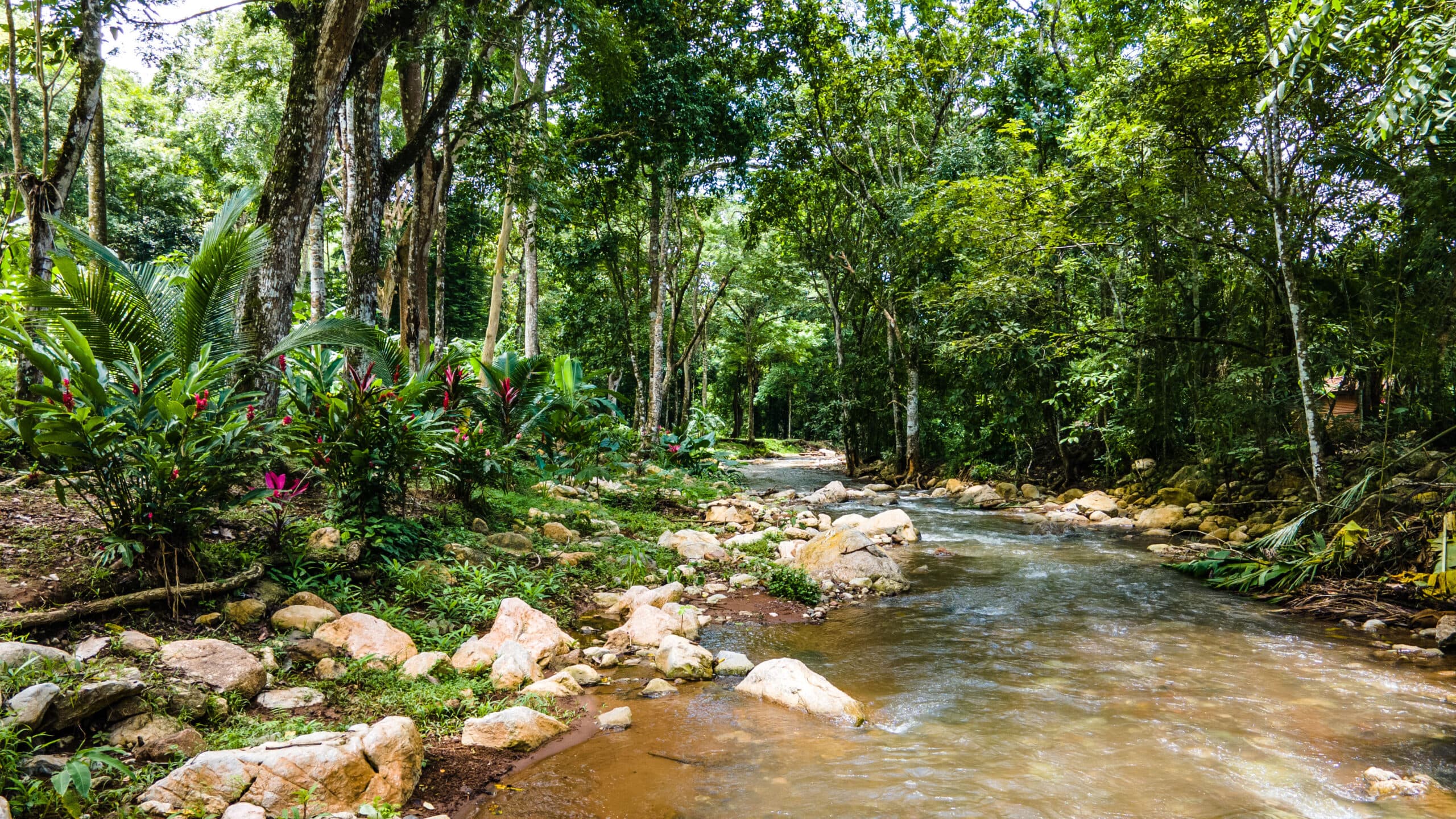 Enchanting Riverside Lot in Playa Hermosa with Waterfalls and Abundant Wildlife, photo 5