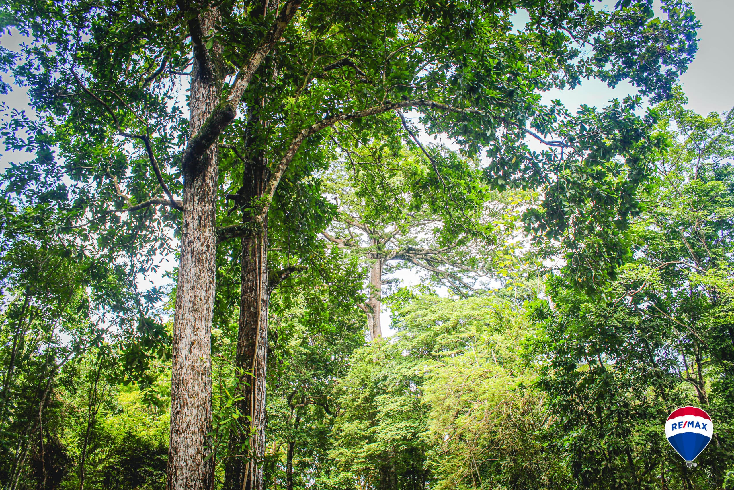Enchanting Riverside Lot in Playa Hermosa with Waterfalls and Abundant Wildlife, photo 12