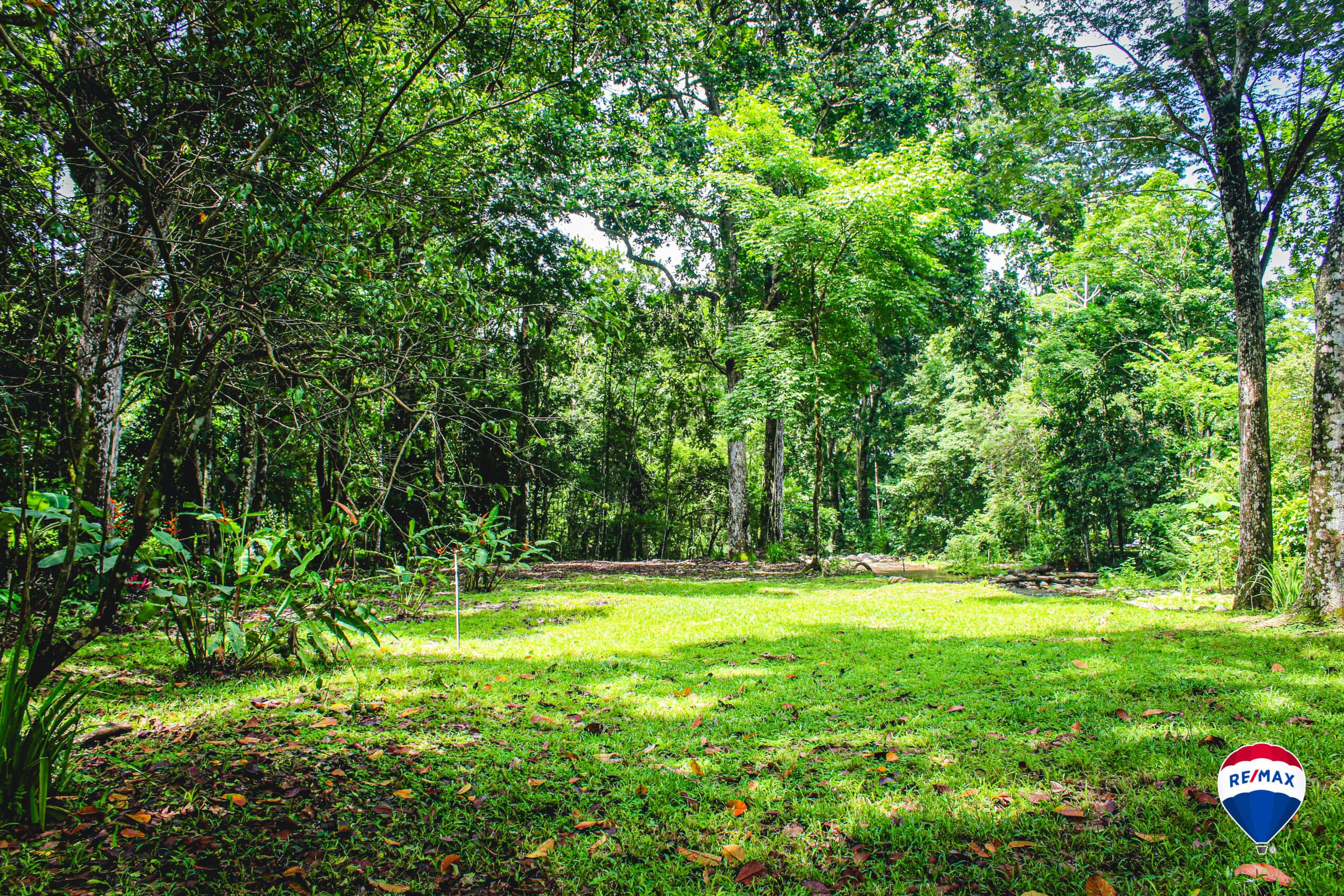 Enchanting Riverside Lot in Playa Hermosa with Waterfalls and Abundant Wildlife, photo 13