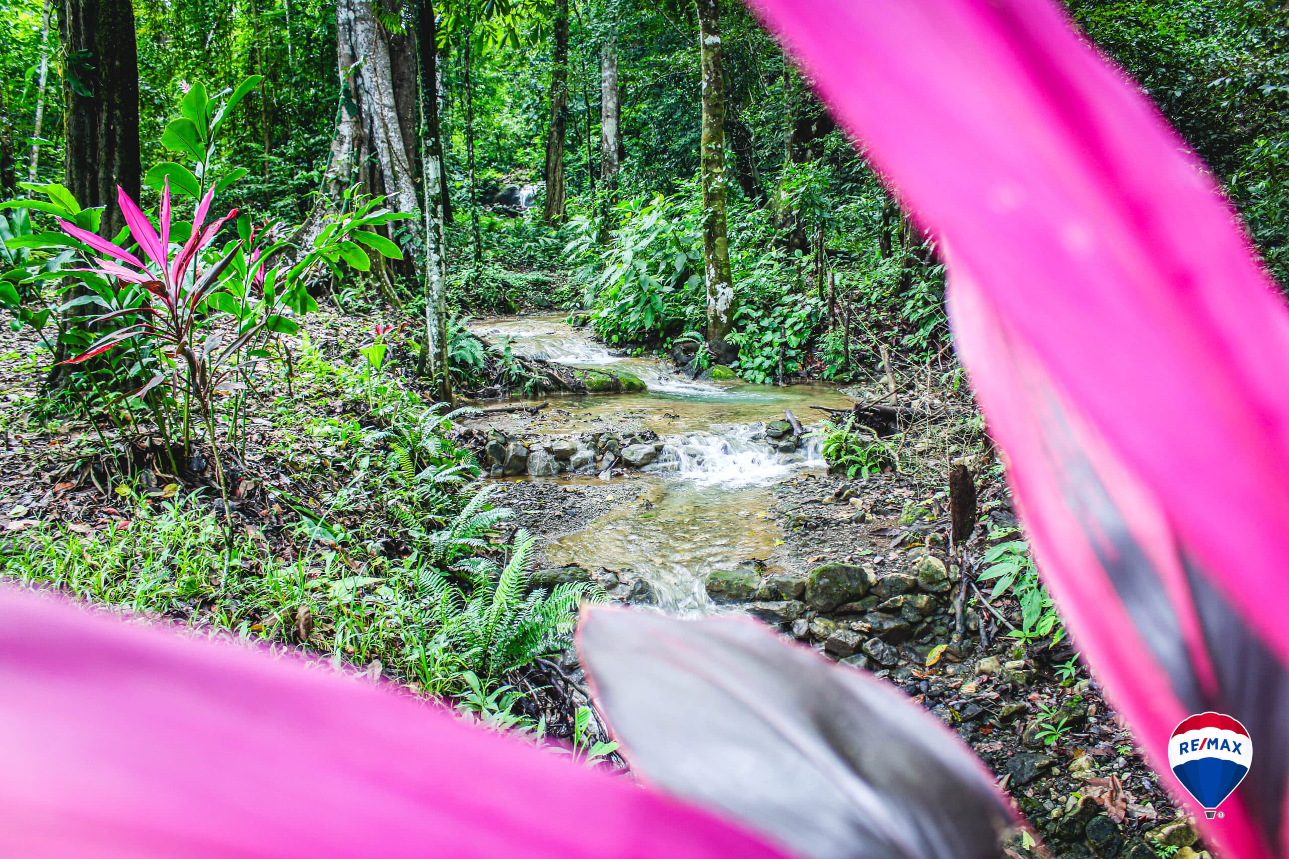 Enchanting Riverside Lot in Playa Hermosa with Waterfalls and Abundant Wildlife, photo 14
