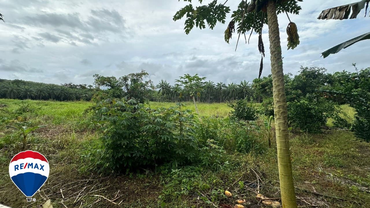 STRATEGIC LOT ON ROUTE 34 / COMMERCIAL OR RESIDENTIAL / PARRITA, photo 5