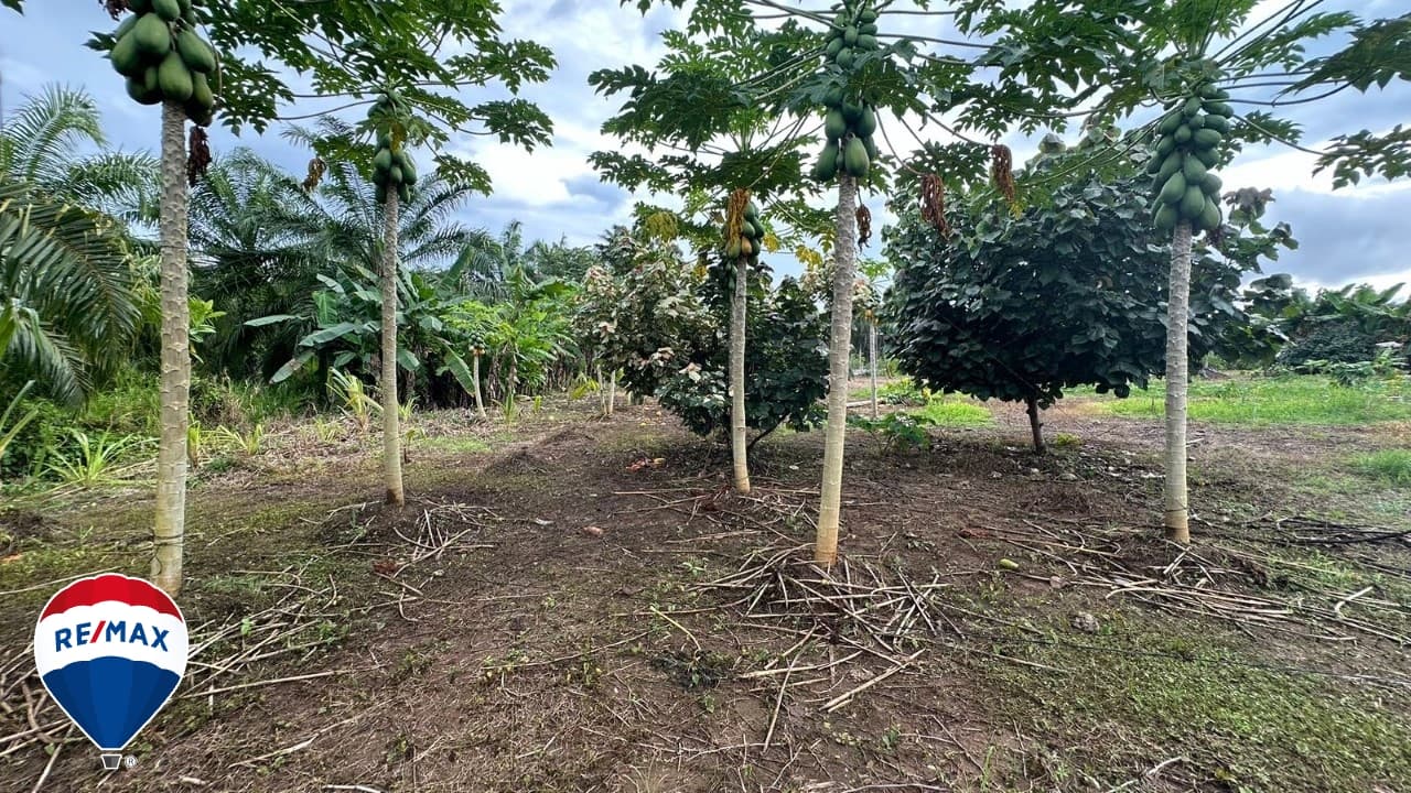 STRATEGIC LOT ON ROUTE 34 / COMMERCIAL OR RESIDENTIAL / PARRITA, photo 6