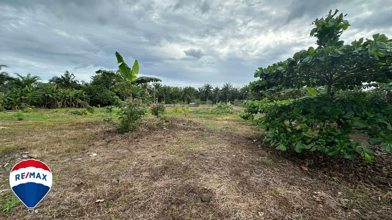 STRATEGIC LOT ON ROUTE 34 / COMMERCIAL OR RESIDENTIAL / PARRITA, photo 9