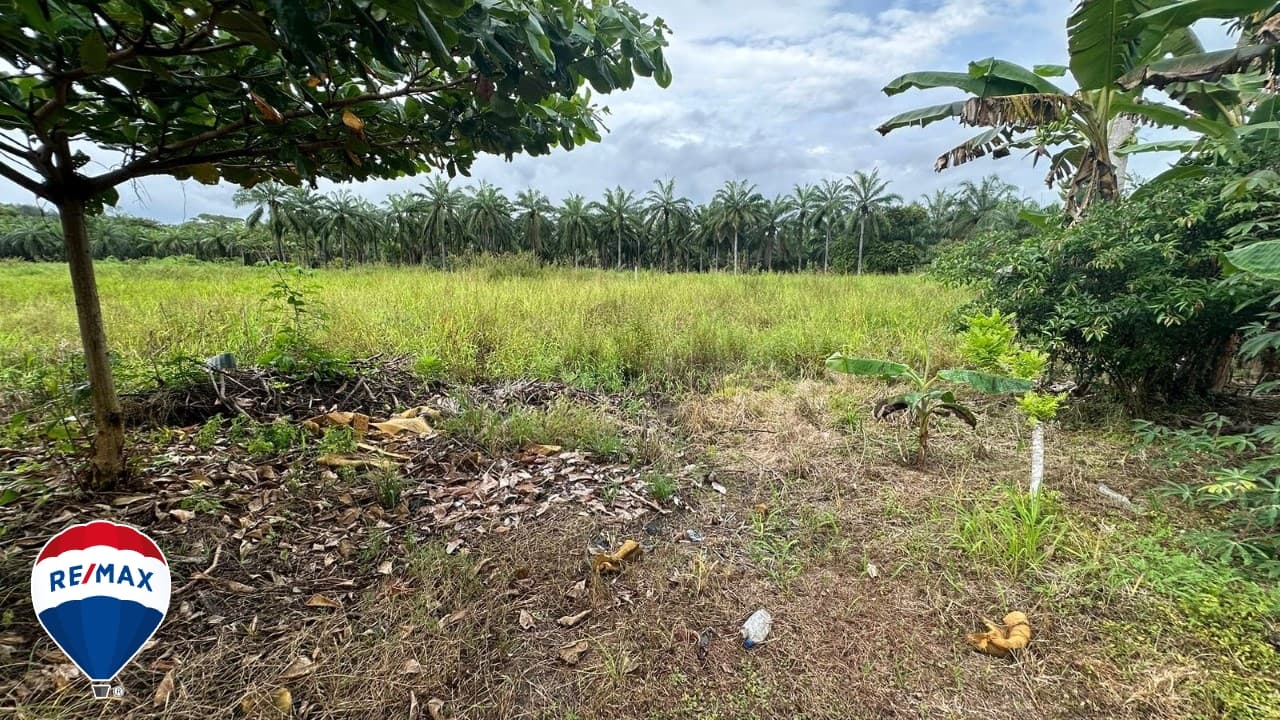 STRATEGIC LOT ON ROUTE 34 / COMMERCIAL OR RESIDENTIAL / PARRITA, photo 10