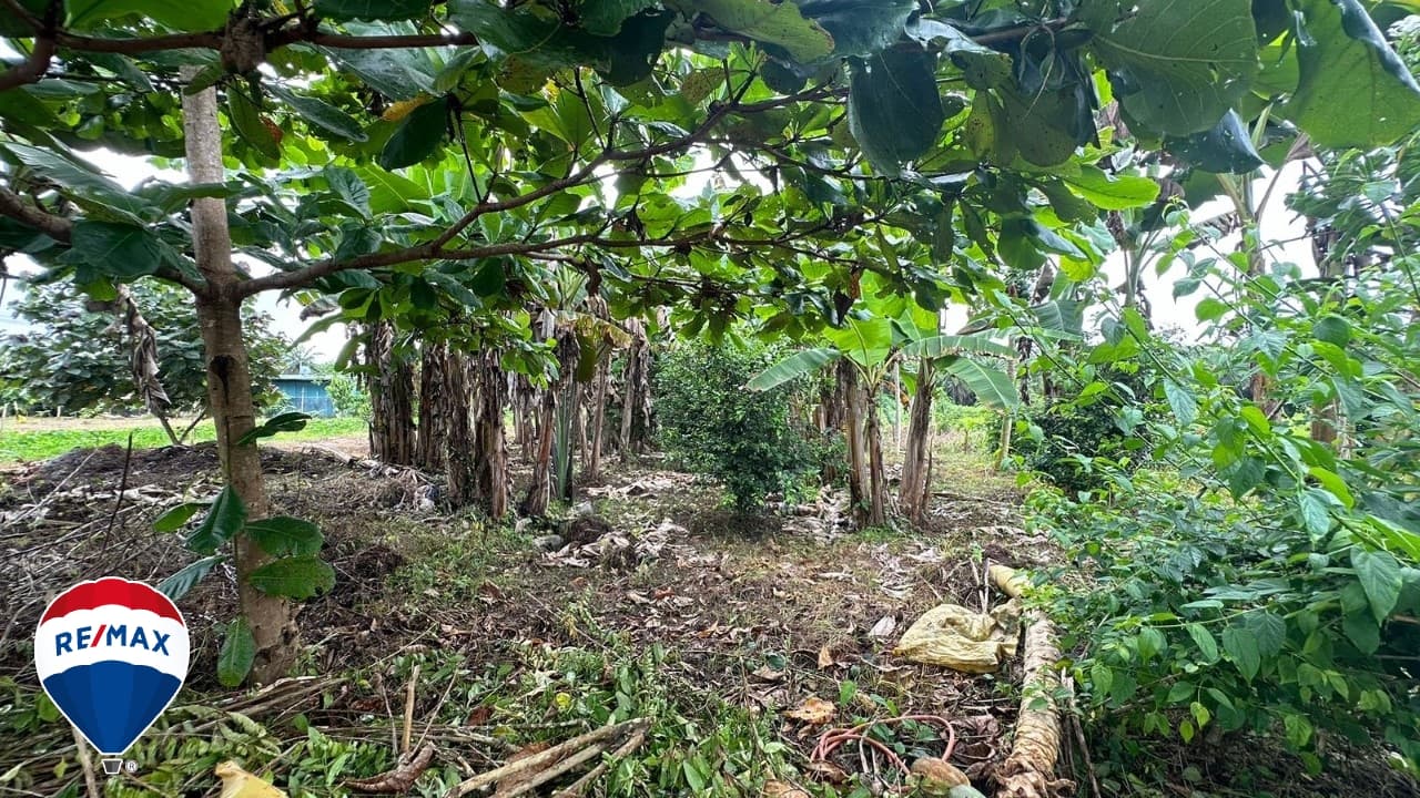 STRATEGIC LOT ON ROUTE 34 / COMMERCIAL OR RESIDENTIAL / PARRITA, photo 13