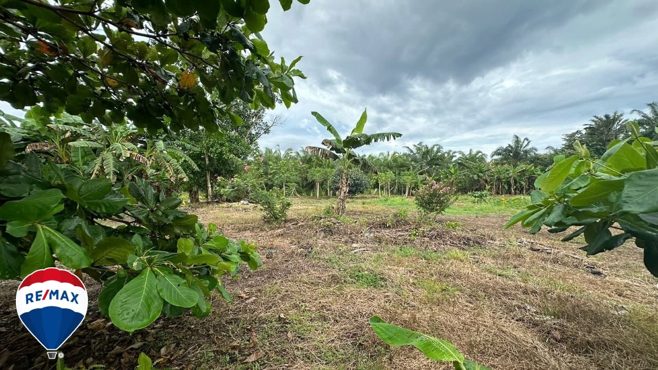 STRATEGIC LOT ON ROUTE 34 / COMMERCIAL OR RESIDENTIAL / PARRITA, photo 14