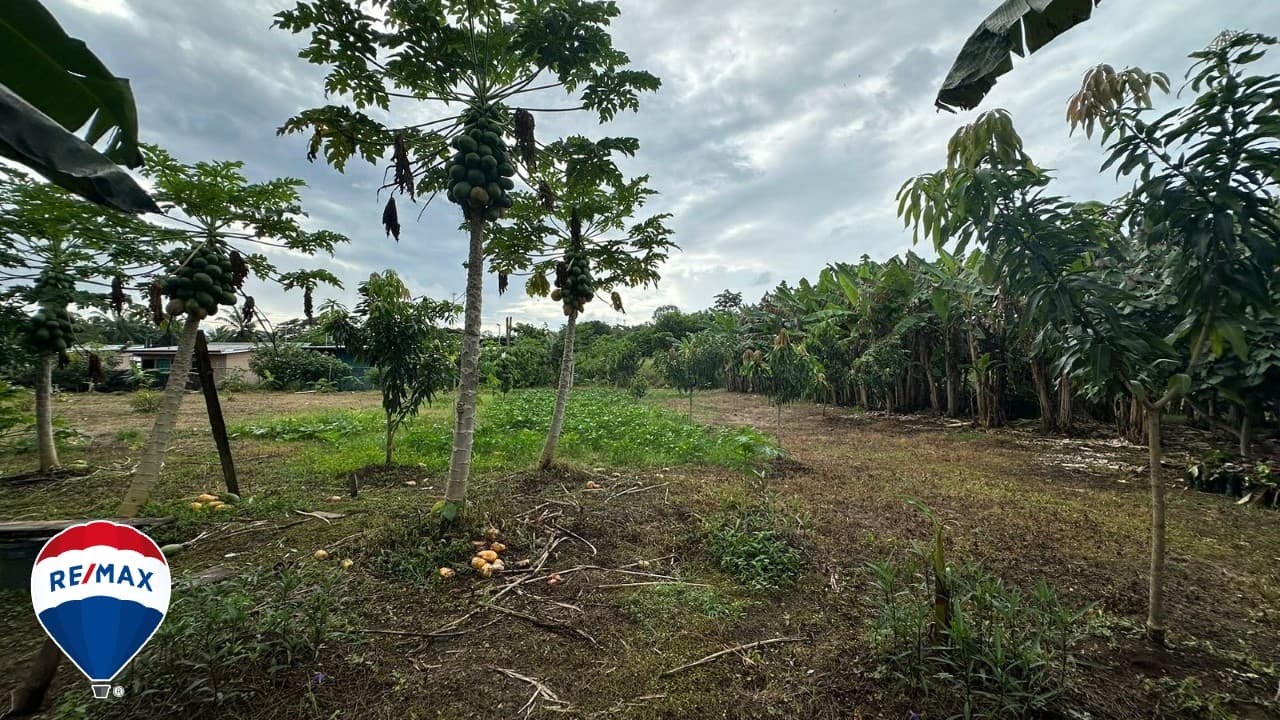 STRATEGIC LOT ON ROUTE 34 / COMMERCIAL OR RESIDENTIAL / PARRITA, photo 17