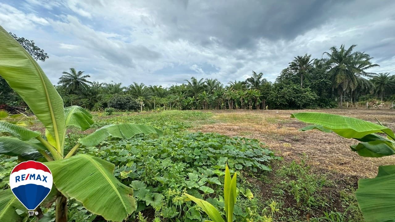STRATEGIC LOT ON ROUTE 34 / COMMERCIAL OR RESIDENTIAL / PARRITA, photo 18
