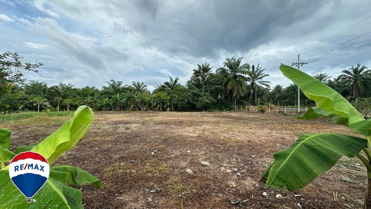 STRATEGIC LOT ON ROUTE 34 / COMMERCIAL OR RESIDENTIAL / PARRITA, photo 20