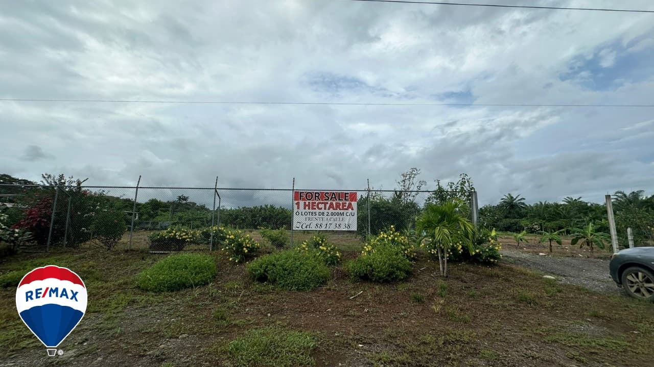 STRATEGIC LOT ON ROUTE 34 / COMMERCIAL OR RESIDENTIAL / PARRITA, photo 26
