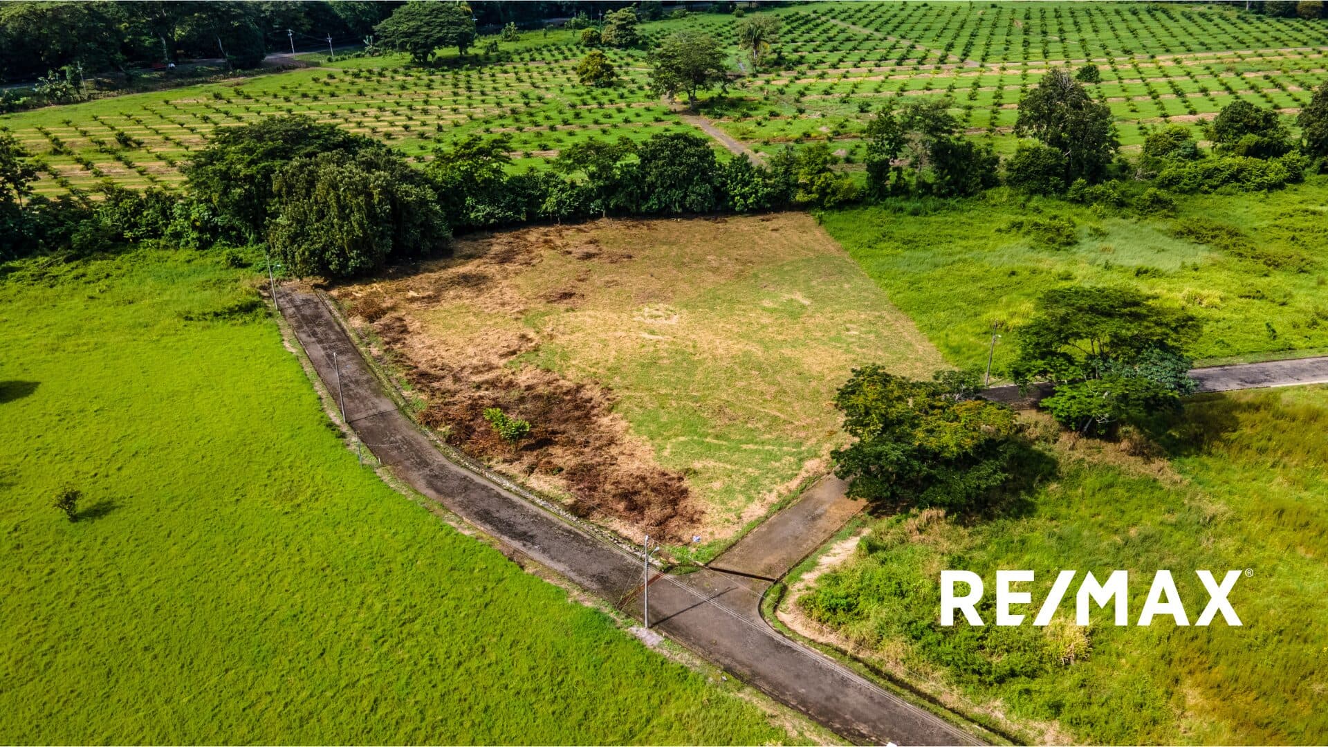 Prime Corner Lot for Sale in Columbus Heights – 9,124 m² Flat Land Perfect for Development, photo 4