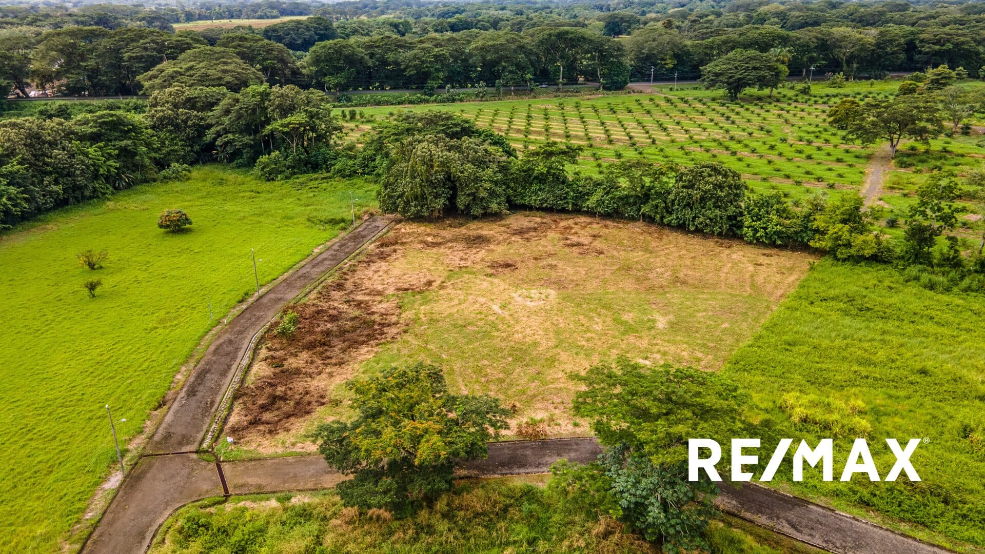 Prime Corner Lot for Sale in Columbus Heights – 9,124 m² Flat Land Perfect for Development, photo 6