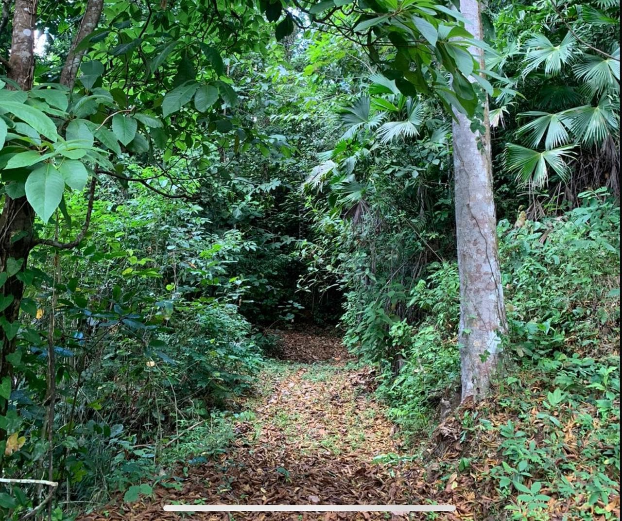 Eco friendly farm / self sustaining developments, photo 5