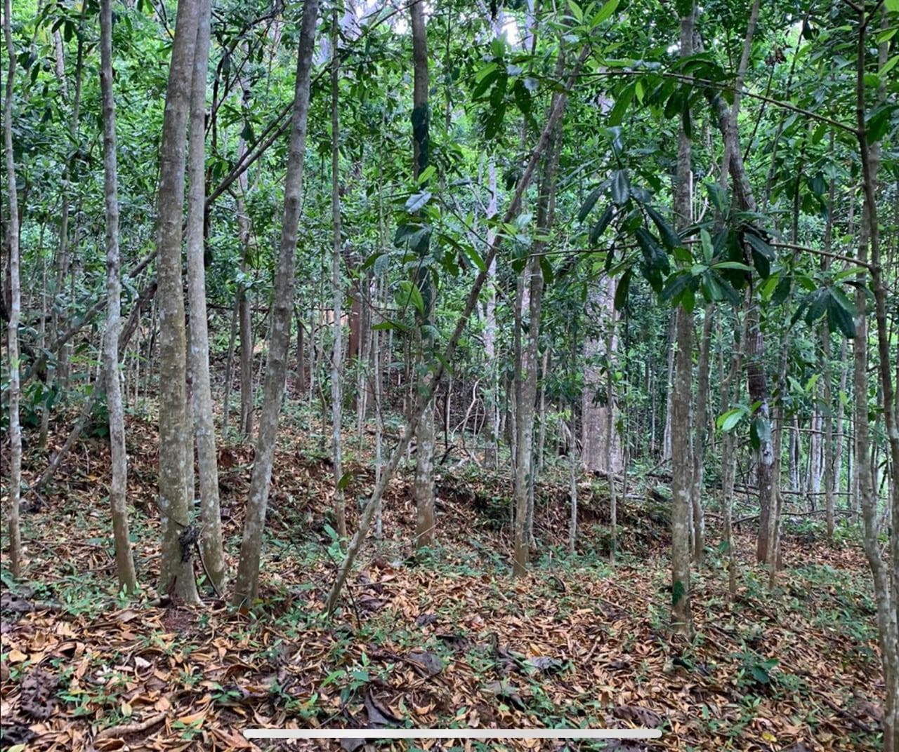 Eco friendly farm / self sustaining developments, photo 7