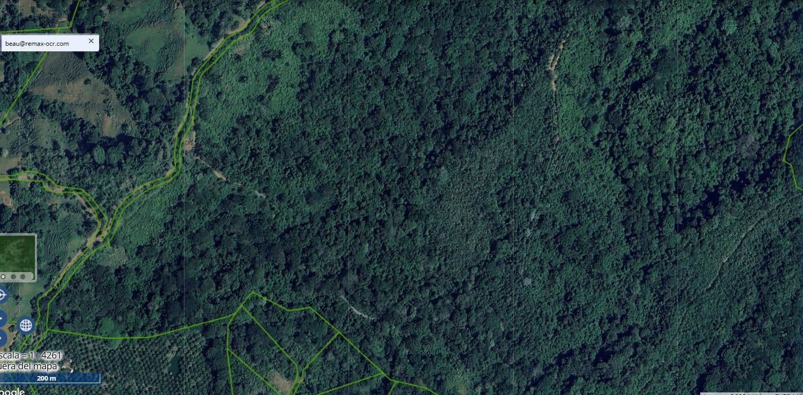 Professionally Planted and Managed Hardwood Plantation | One of Four | B&A, photo 13