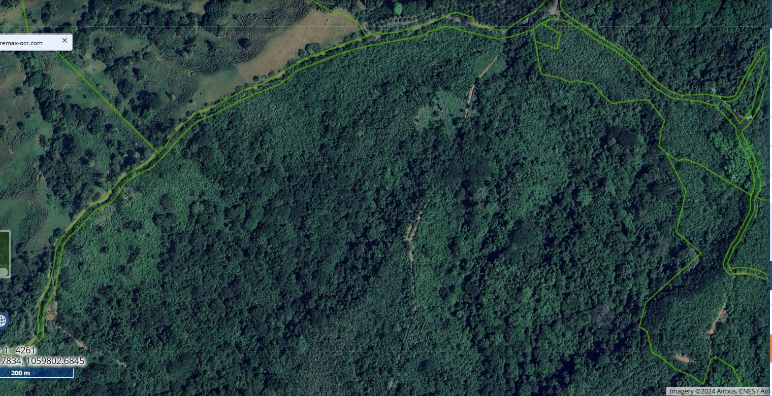 Professionally Planted and Managed Hardwood Plantation | One of Four | B&A, photo 14