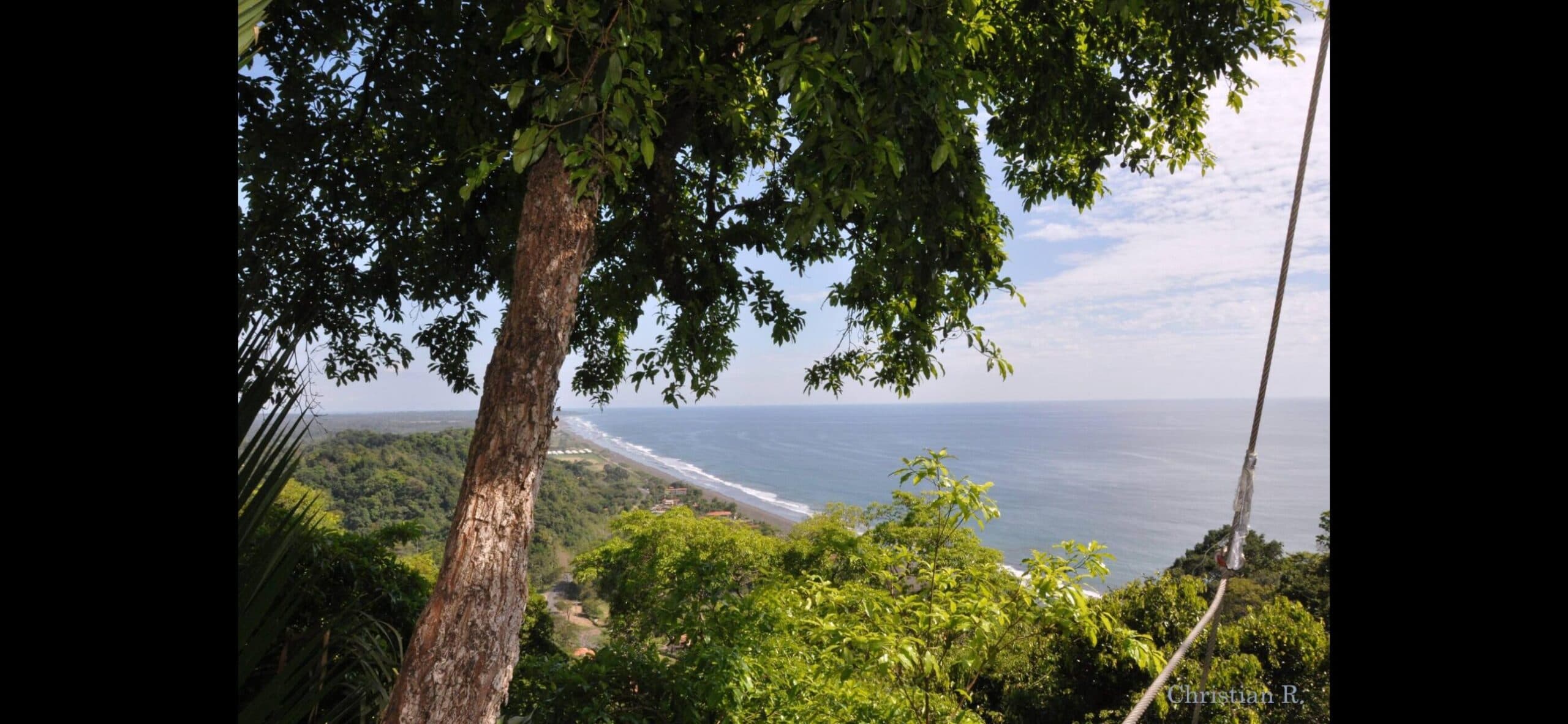 Ocean View Jungle paradise, photo 18