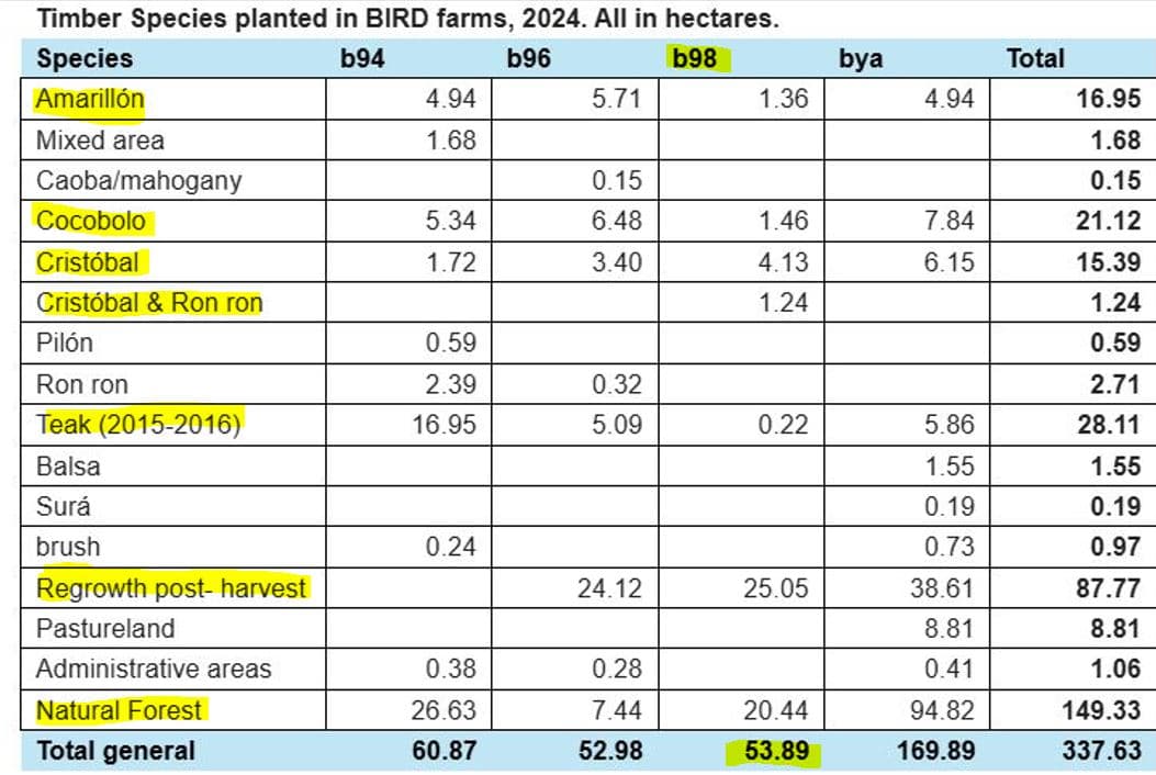 Professionally Planted and Managed Hardwood Plantation | One of Four | Bird 98, photo 4