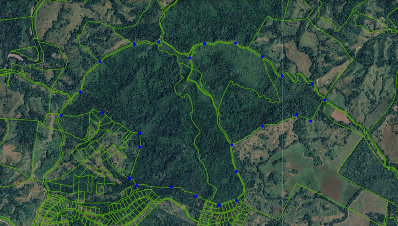 Professionally Planted and Managed Hardwood Plantation | One of Four | B&A, photo 18