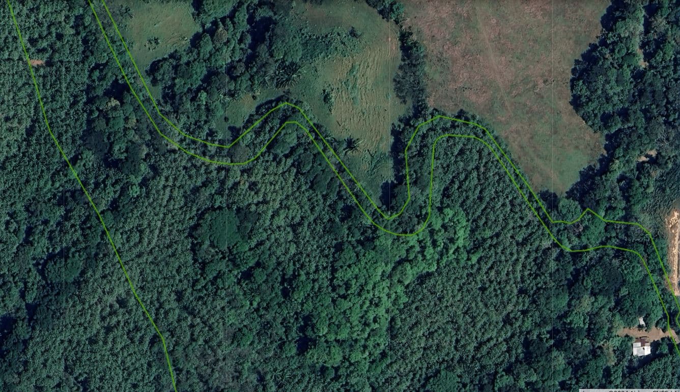 Professionally Planted and Managed Hardwood Plantation | Two of Four | Bird 94, photo 9