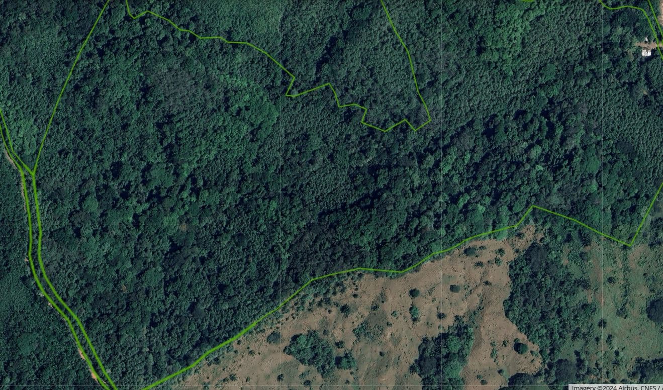 Professionally Planted and Managed Hardwood Plantation | Two of Four | Bird 94, photo 11