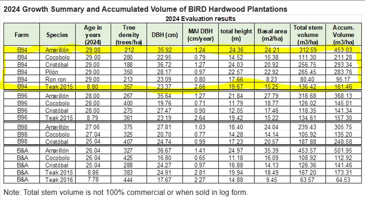Professionally Planted and Managed Hardwood Plantation | Two of Four | Bird 94, photo 12