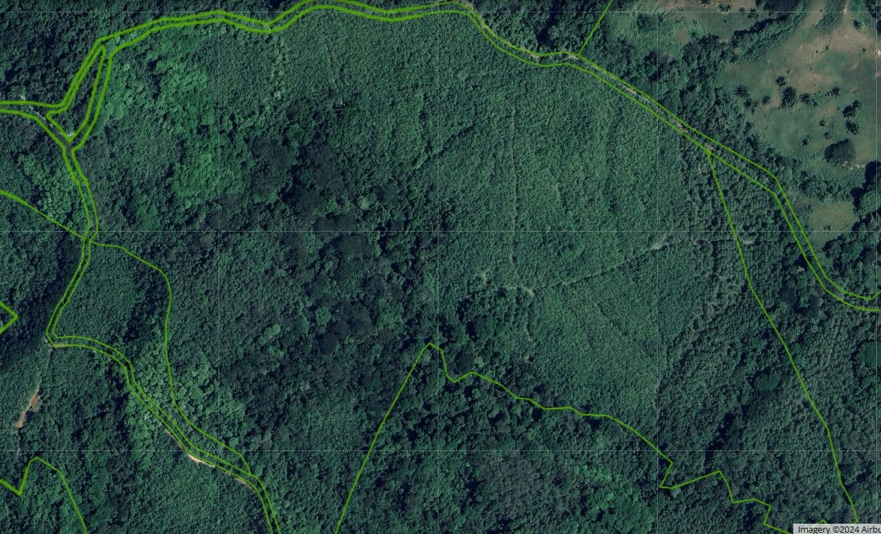 Professionally Planted and Managed Hardwood Plantation | One of Four | Bird 96, photo 6