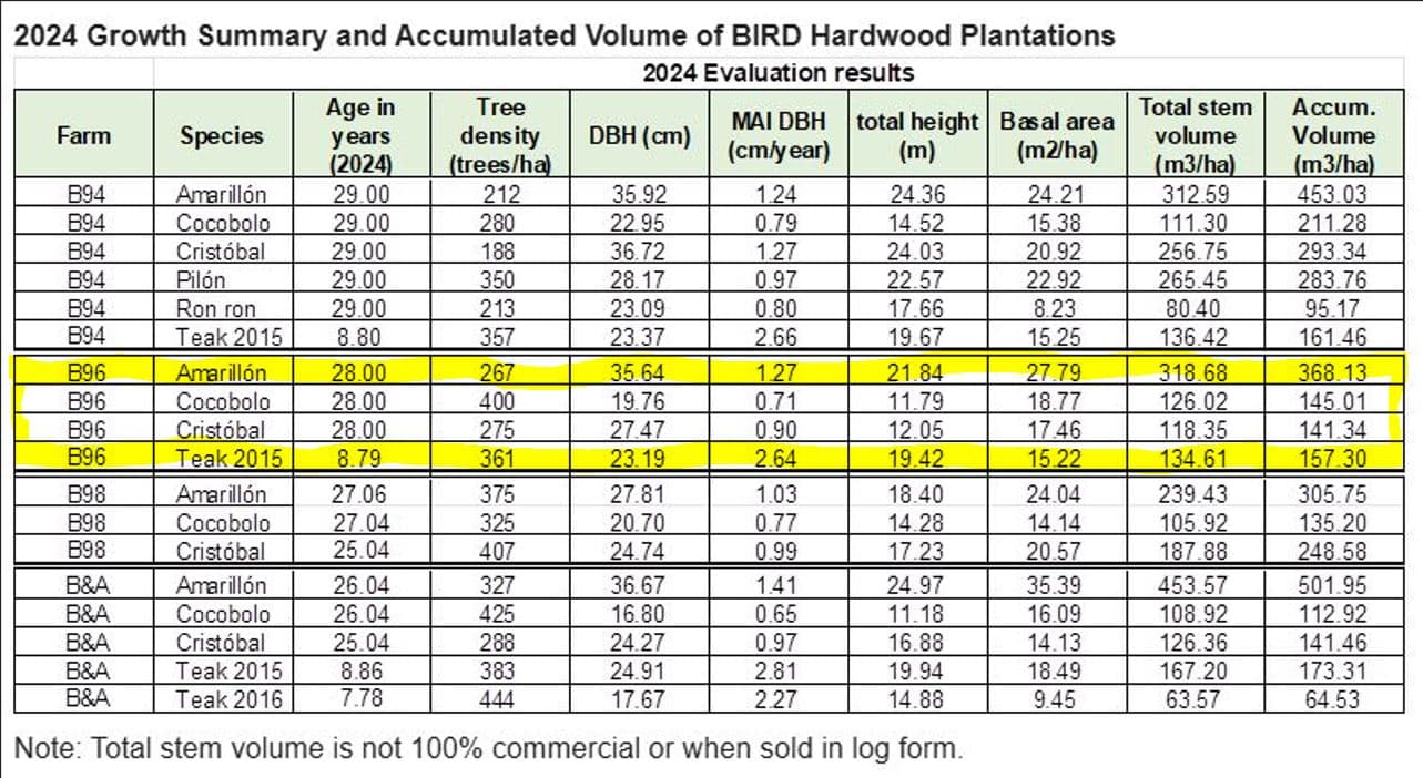 Professionally Planted and Managed Hardwood Plantation | One of Four | Bird 96, photo 4